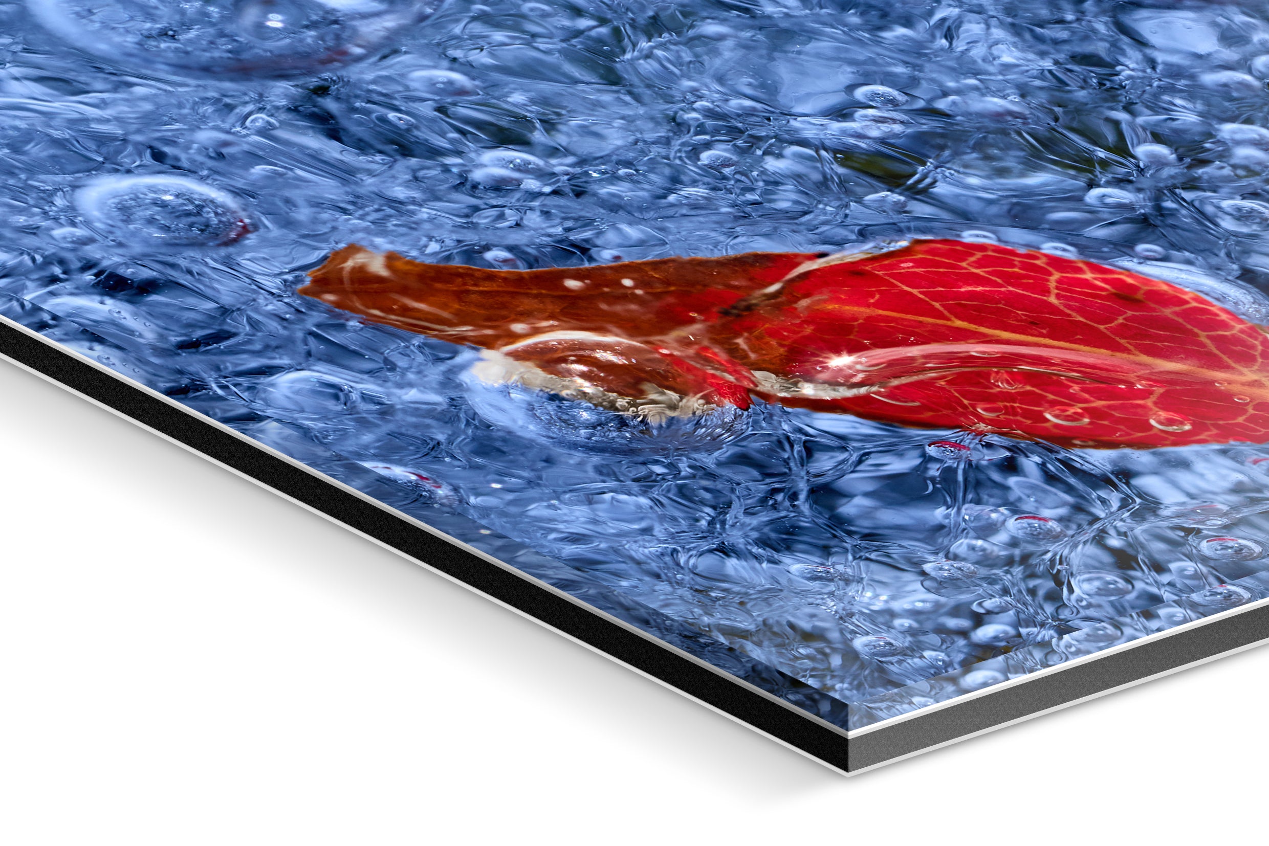 Photo Print Under Acrylic Glass - Detail