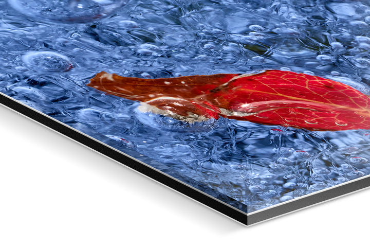 Photo Print Under Acrylic Glass - Detail