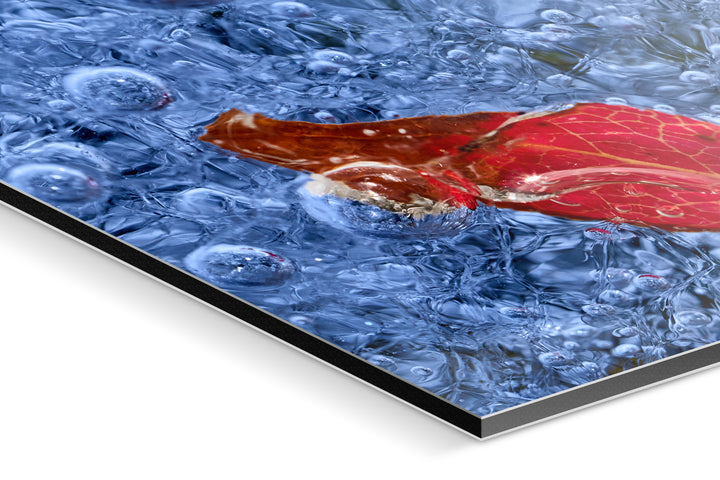 Photo Print On Aluminum Backing - Detail