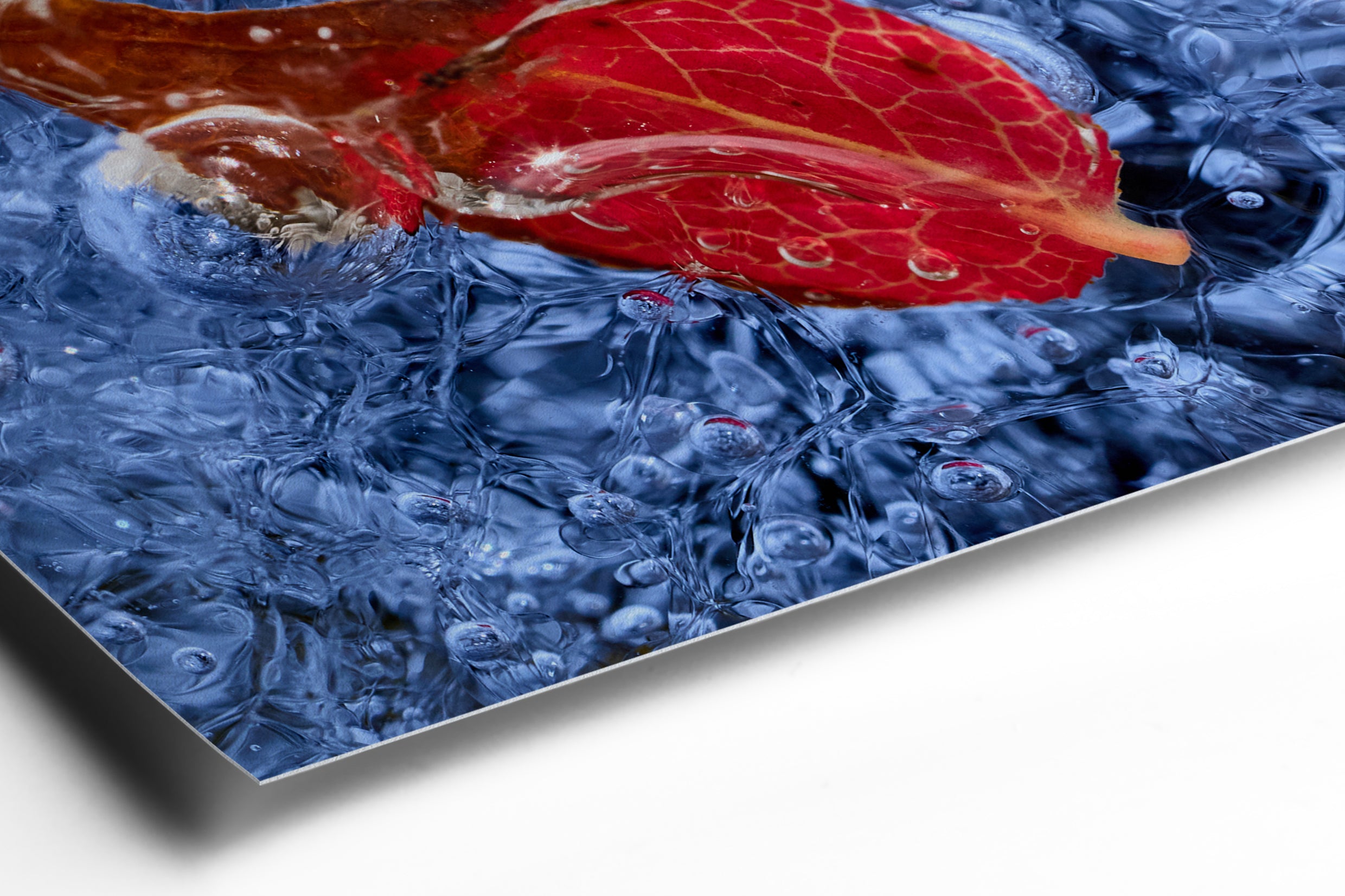 Hahnemühle FineArt Paper - Detail