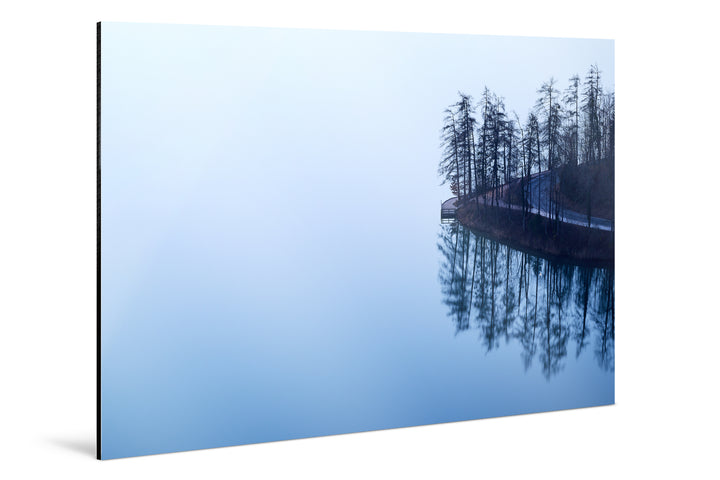 Photo Print On Aluminum Backing