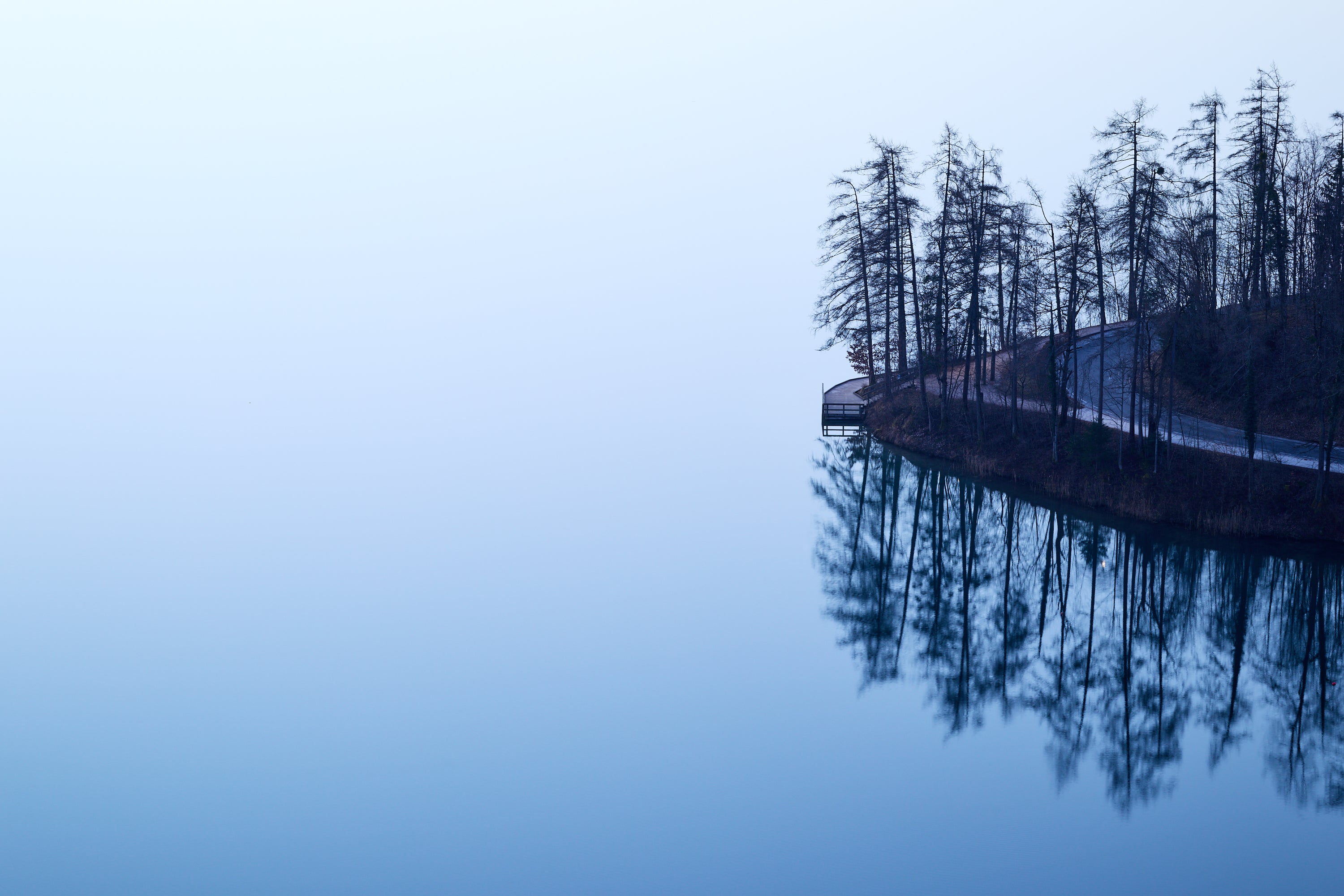 Basic image – ready for print or licensing.