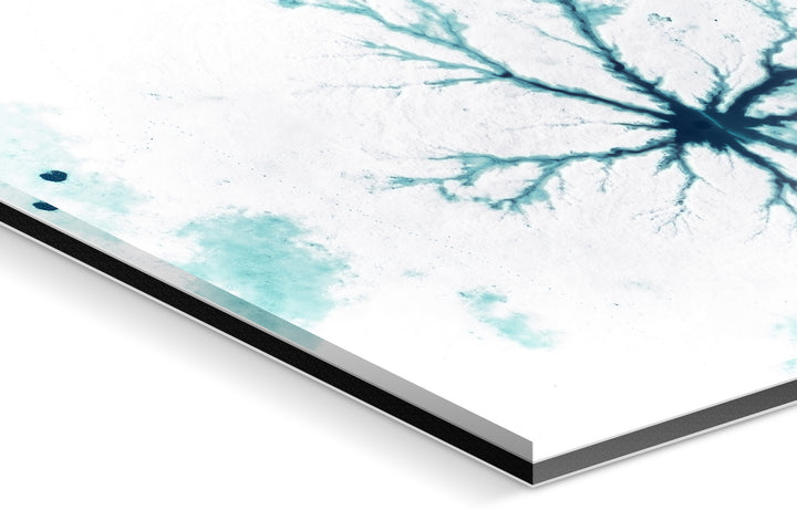 Photo Print Under Acrylic Glass - Detail