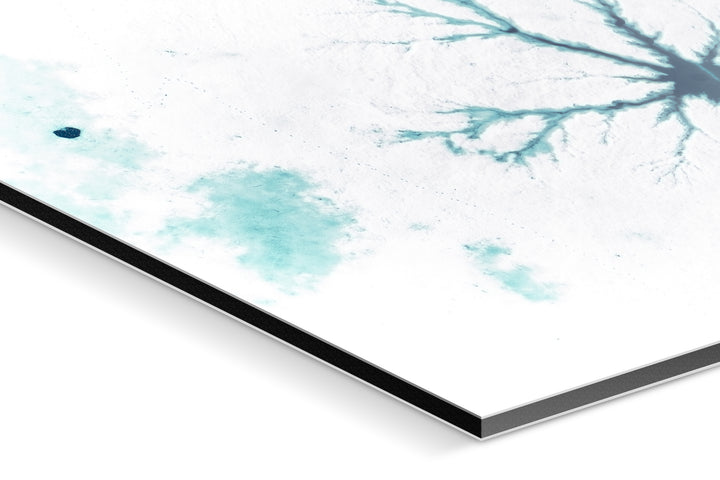 Photo Print On Aluminum Backing - Detail