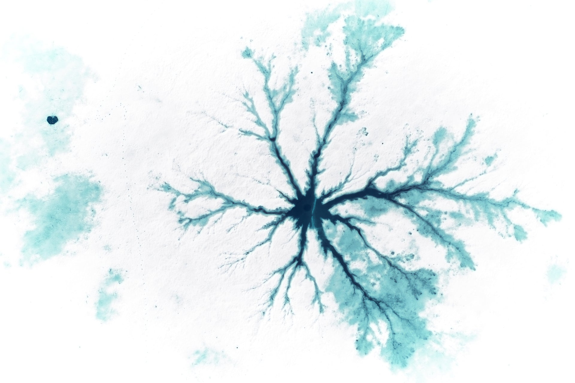 Basic image – ready for print or licensing.