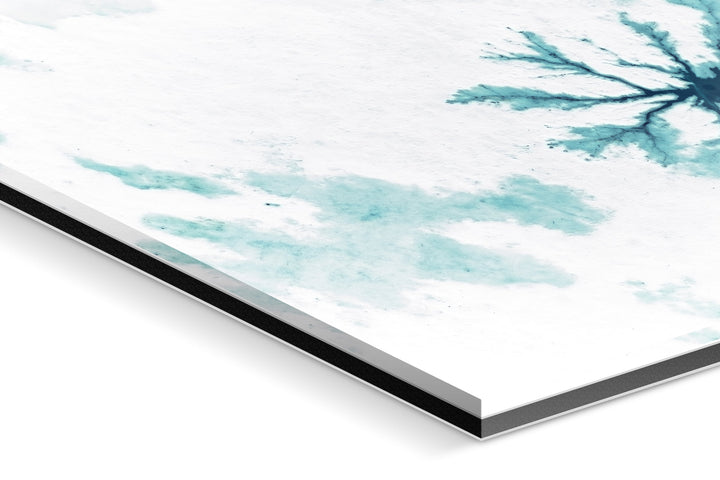 Photo Print Under Acrylic Glass - Detail