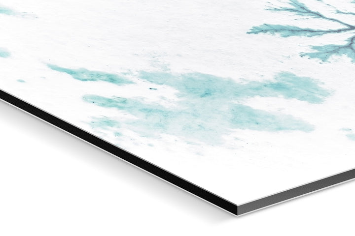 Photo Print On Aluminum Backing - Detail