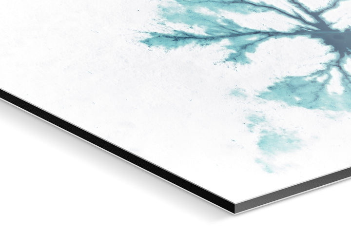 Photo Print On Aluminum Backing - Detail