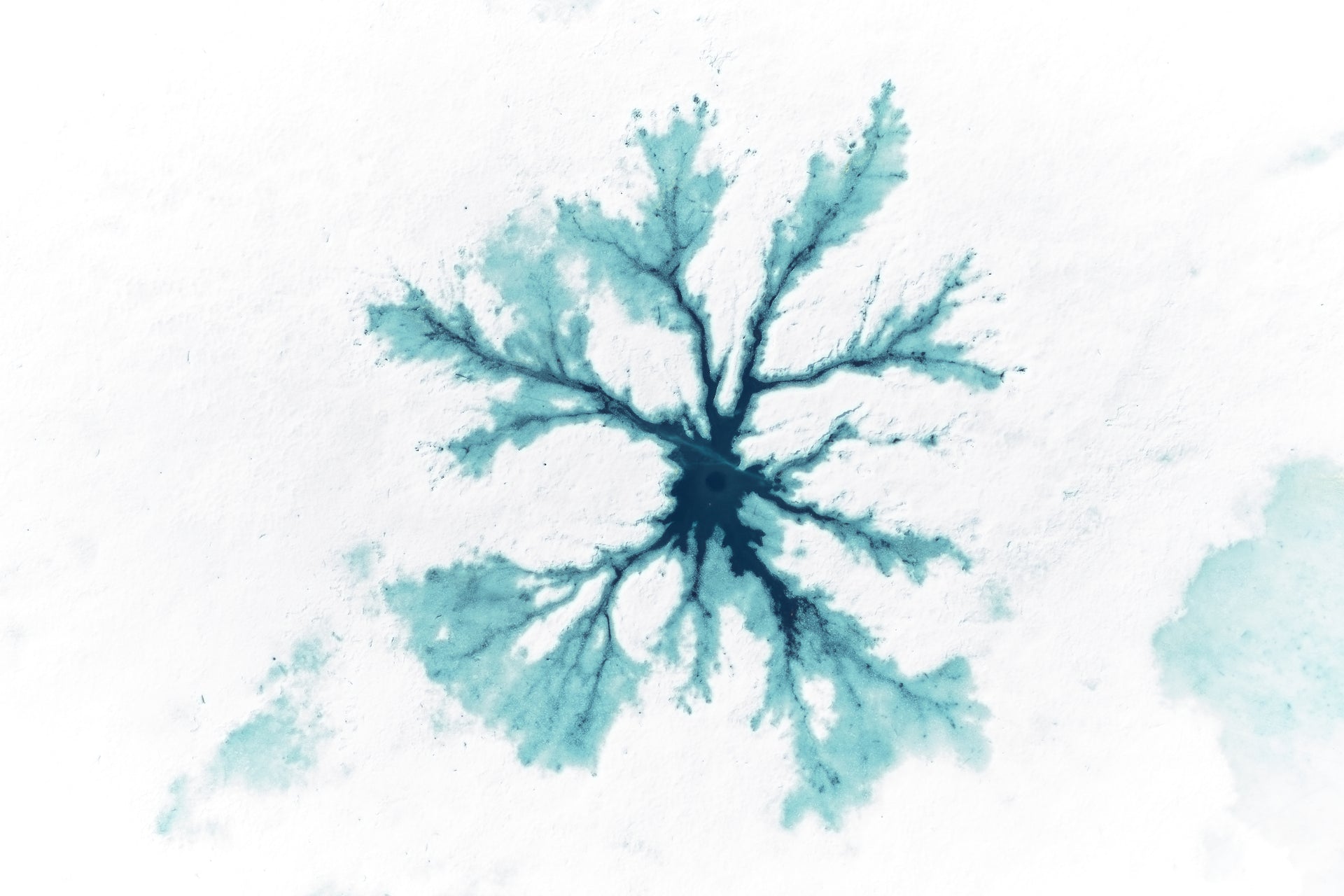 Basic image – ready for print or licensing.