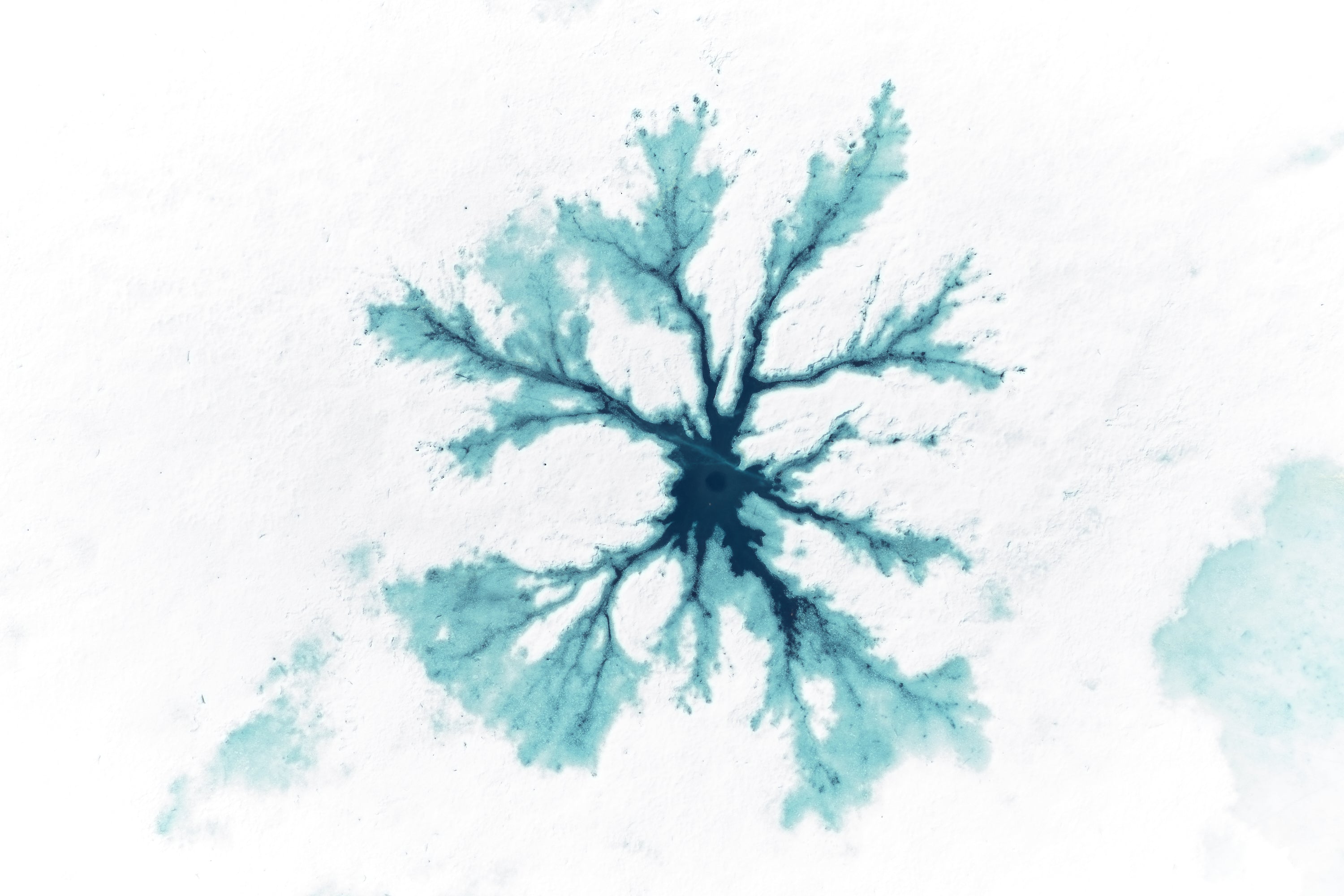 Basic image – ready for print or licensing.