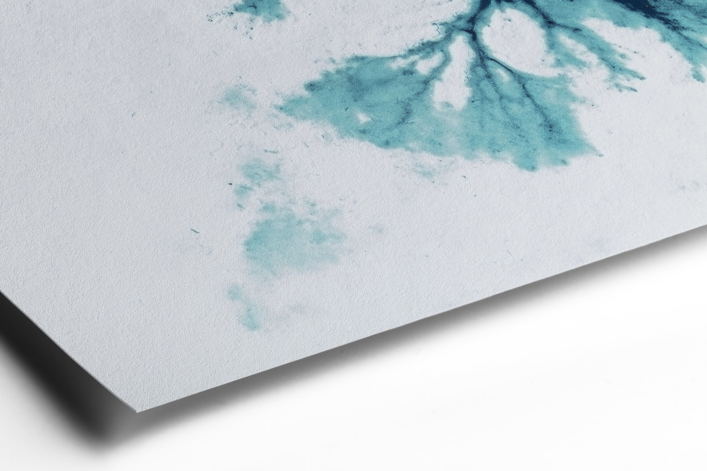 Hahnemühle FineArt Paper - Detail