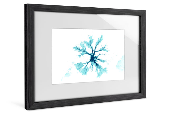 Magnetic Frame, black