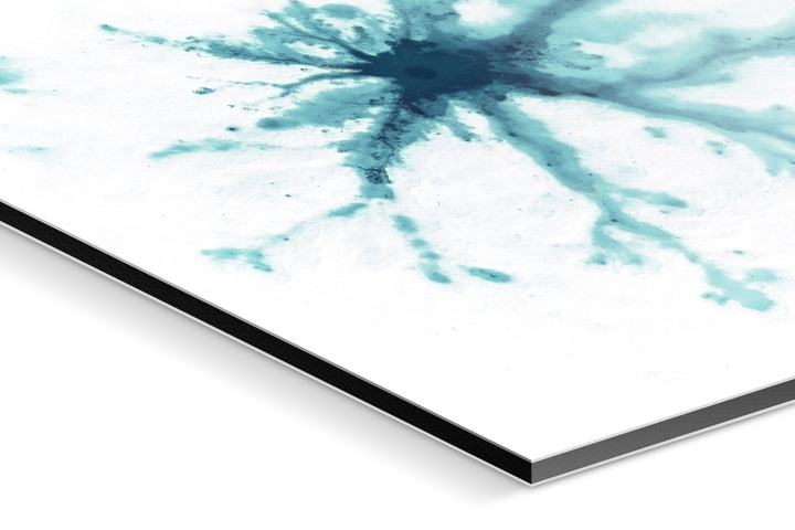 Photo Print On Aluminum Backing - Detail