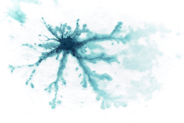 Basic image – ready for print or licensing.