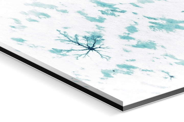 Photo Print Under Acrylic Glass - Detail