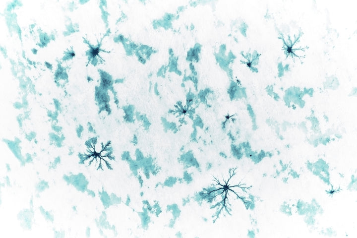 Basic image – ready for print or licensing.