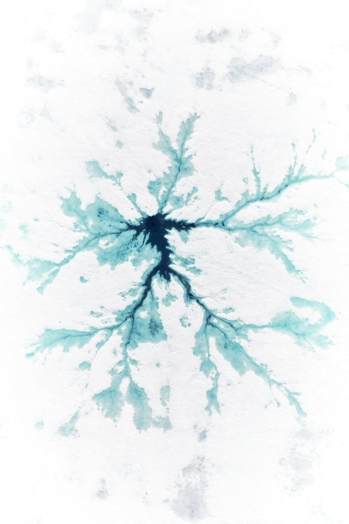 Basic image – ready for print or licensing.