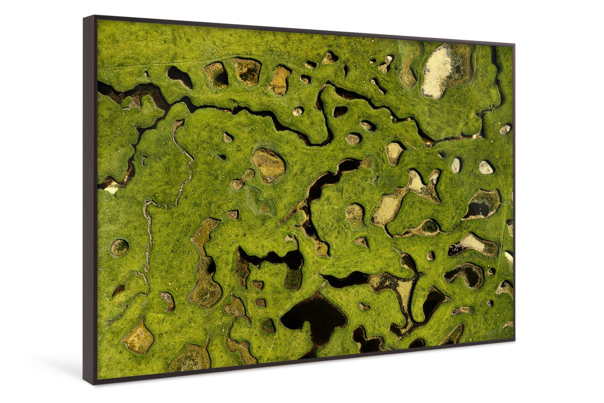 Pozzines 04 - Ronald Mitterer - Photography & Fine Art