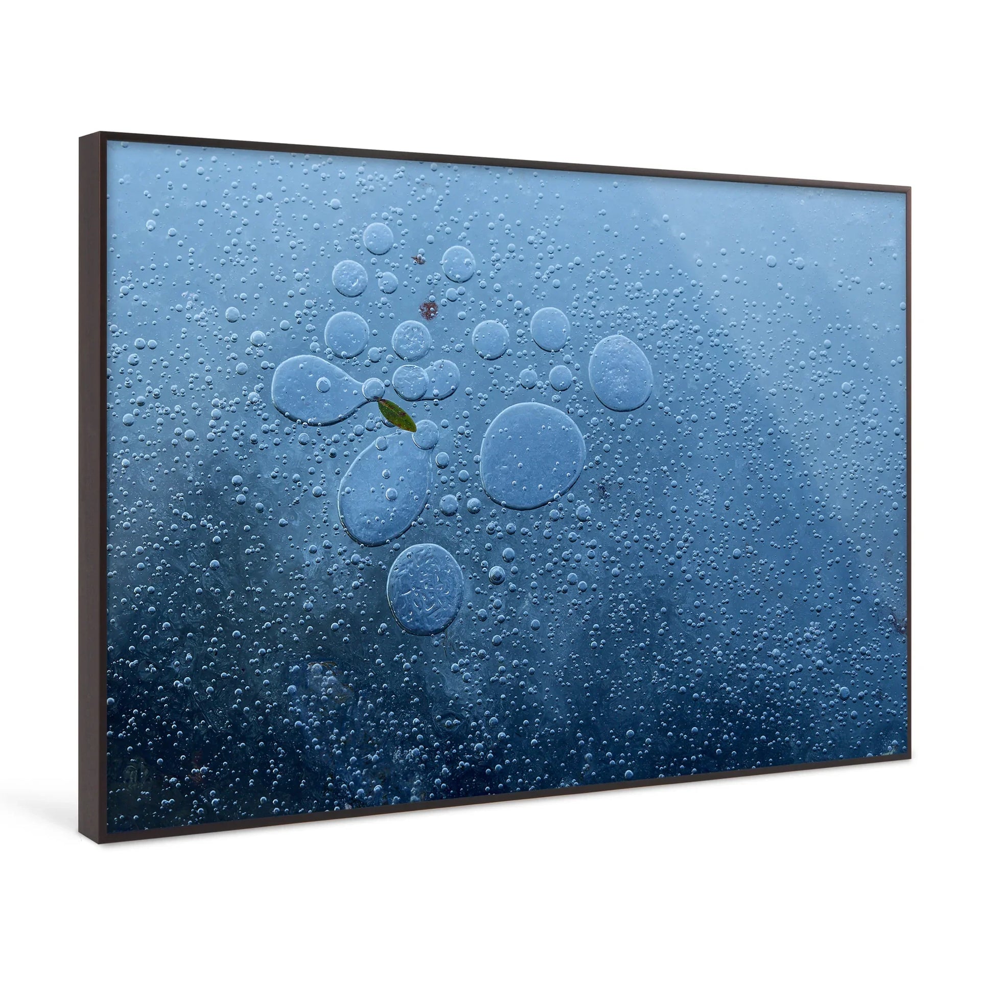 Nature in Detail Fine Art Print – Contemporary Landscape Photography