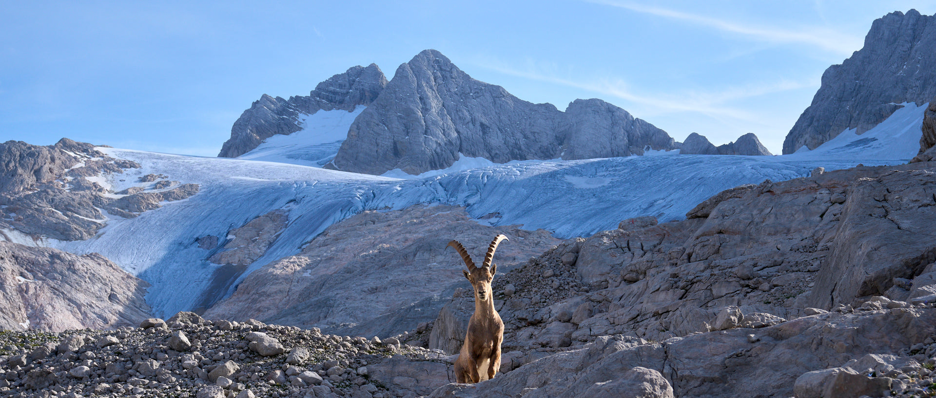 King of the Alps #2