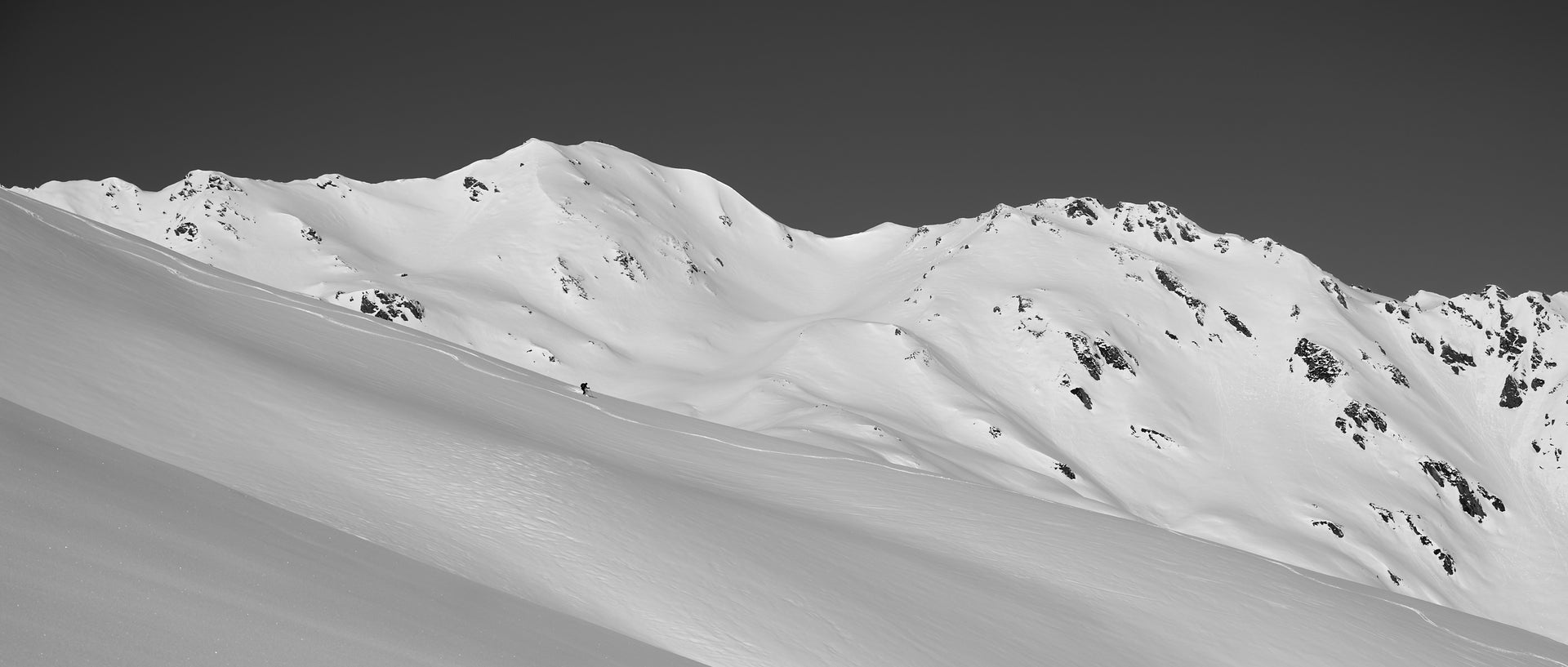 Into the White