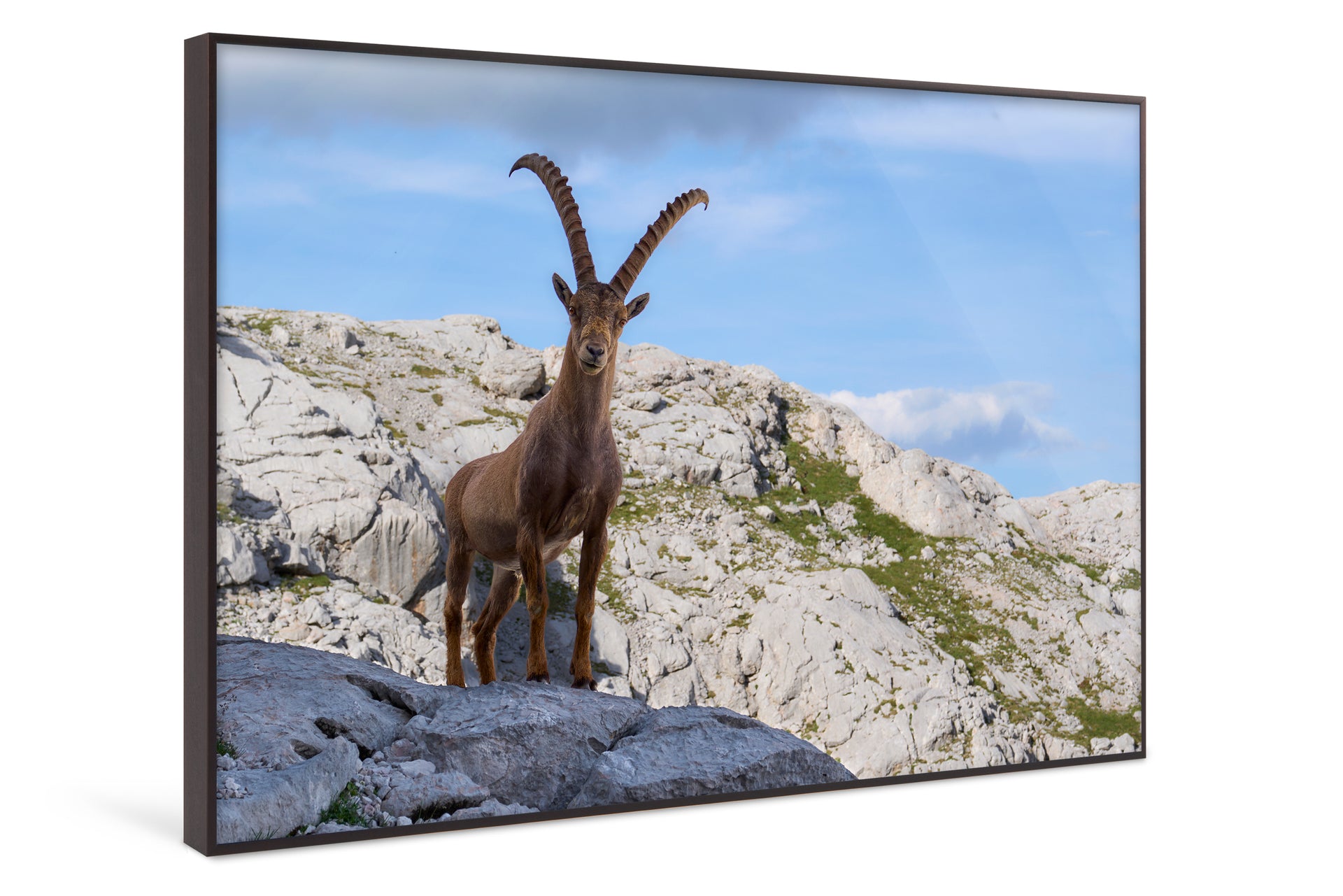 King of the Alps #3