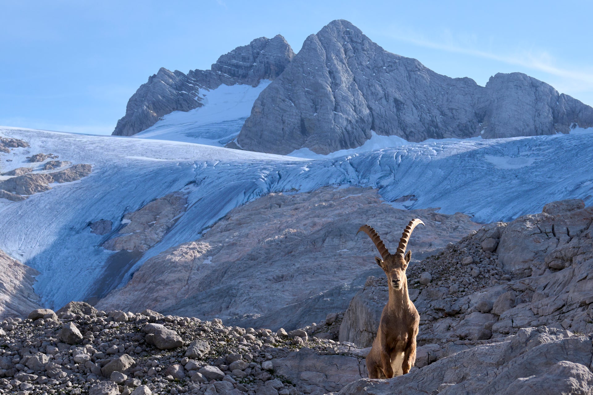 King of the Alps #4