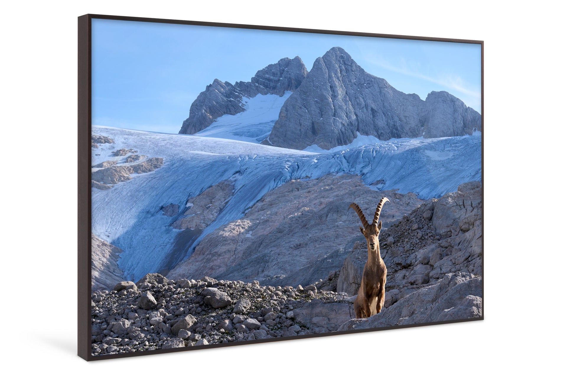 King of the Alps #4