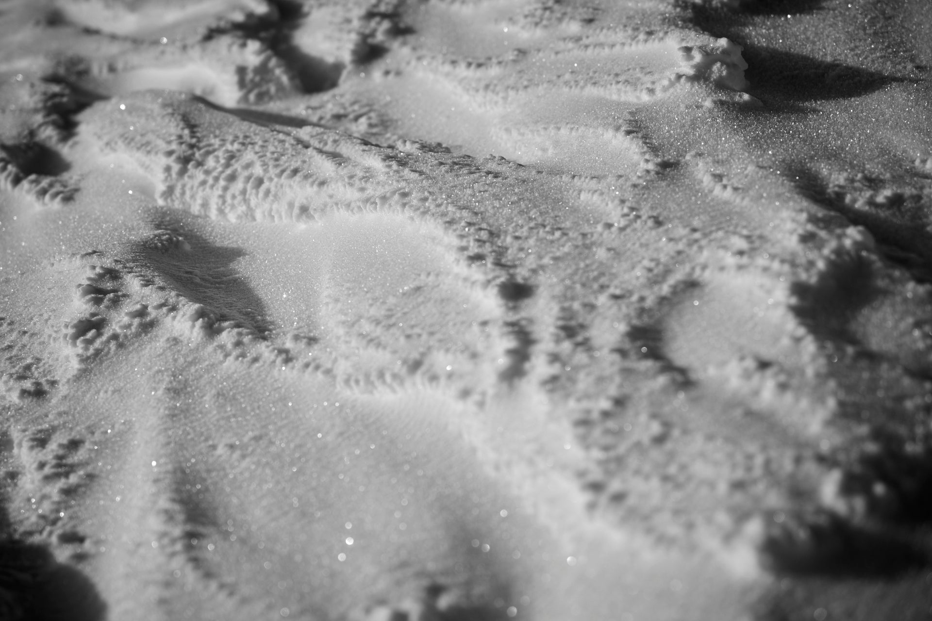 Frozen Whispers