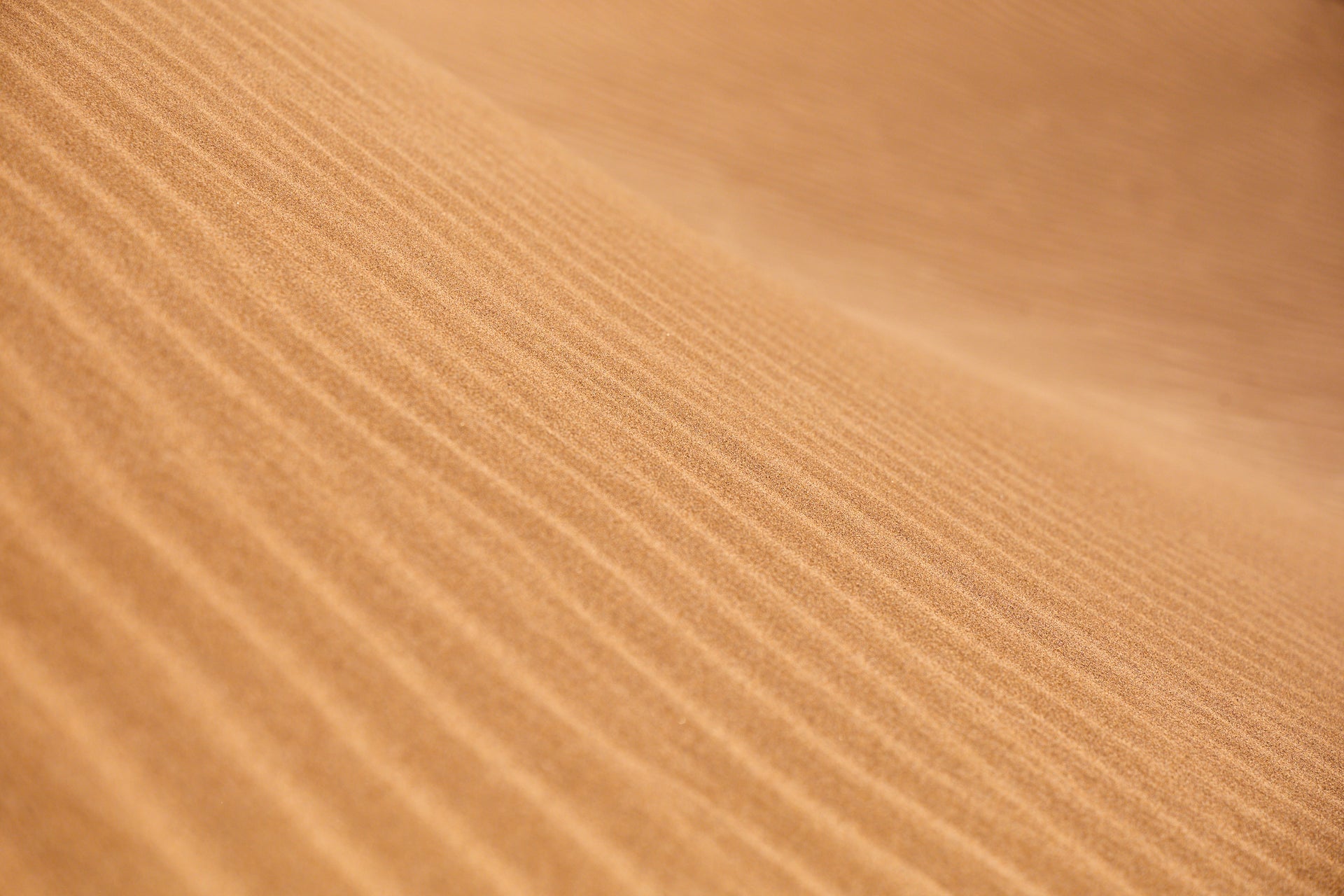 Golden Lines